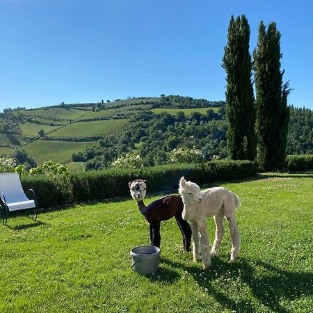 Villa Rignana Chianti Estate, Pool, Tennis,Cook Greve in Chianti Eksteriør billede
